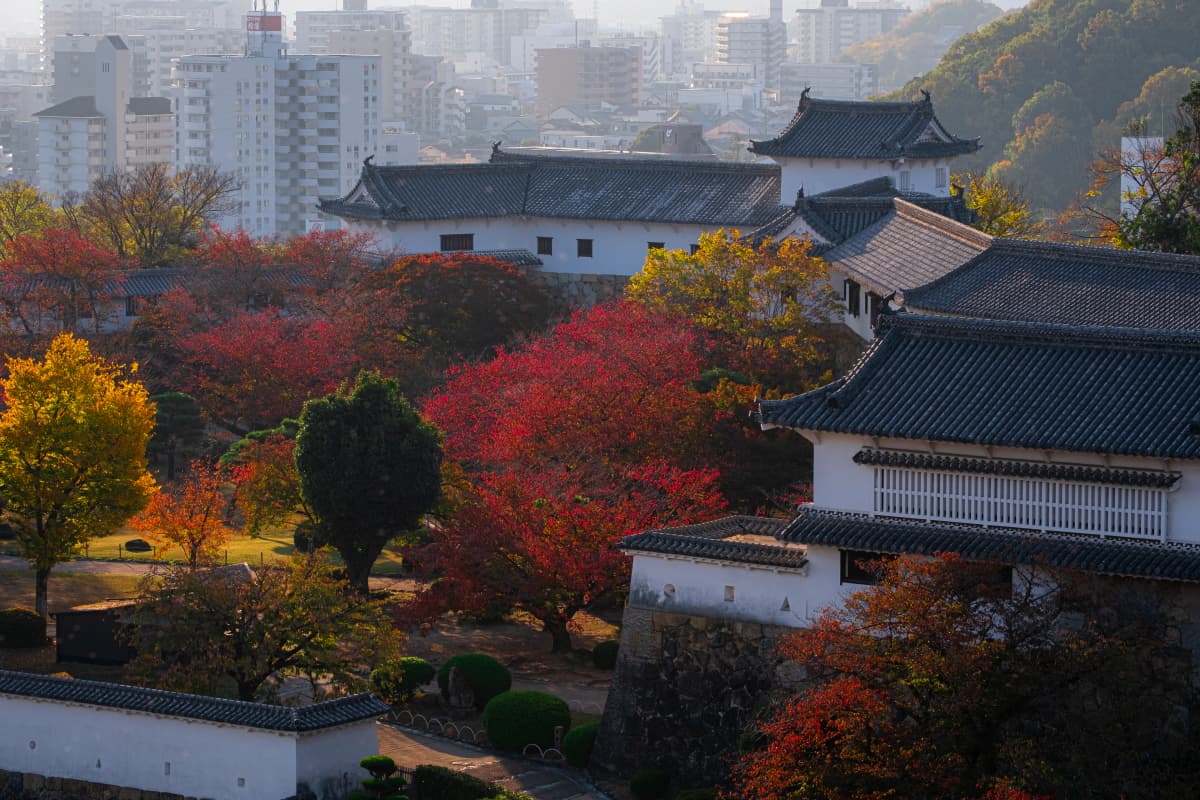 Autumn in Japan